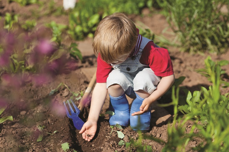 Child planting seeds in the garden