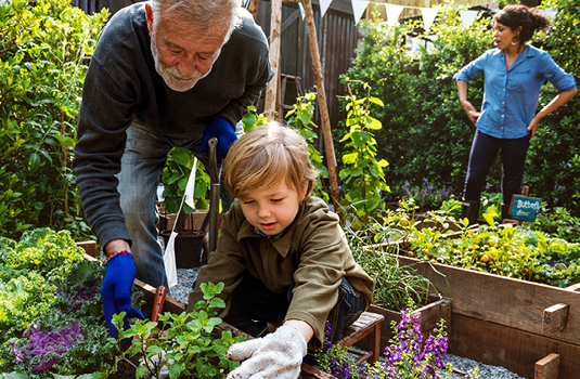 Family members gardening