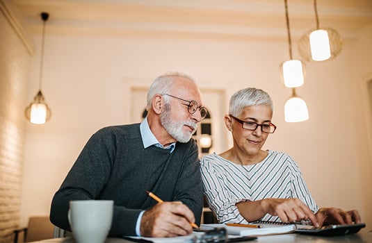 Couple using computer